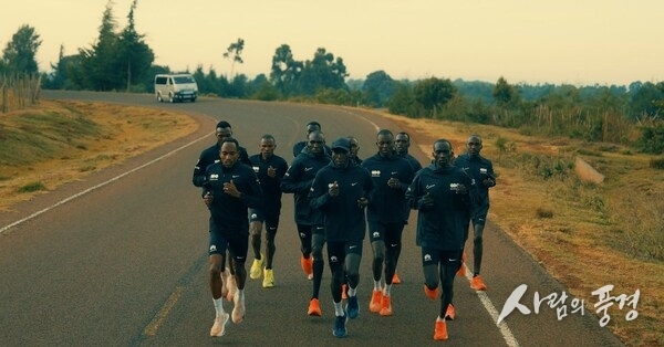 The dsm-firmenich Running Team