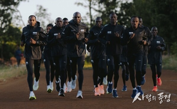 The dsm-firmenich Running Team